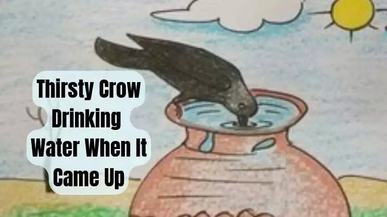 Thirsty Crow Drinking Water From Pot