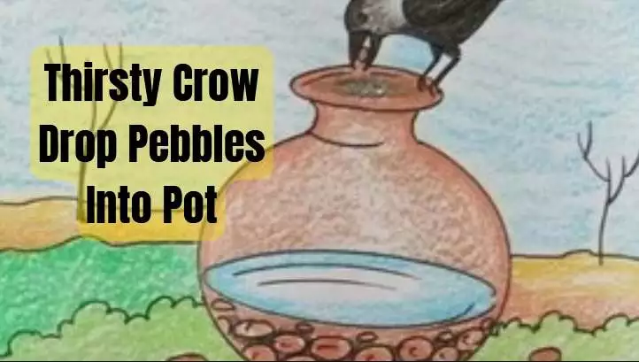 Thirsty Crow Drop Pebbles Into Pot